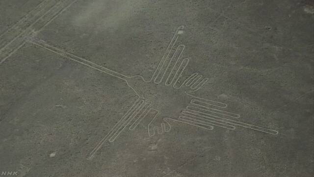 「ナスカの地上絵」制作の謎迫れるか 鳥の絵を研究