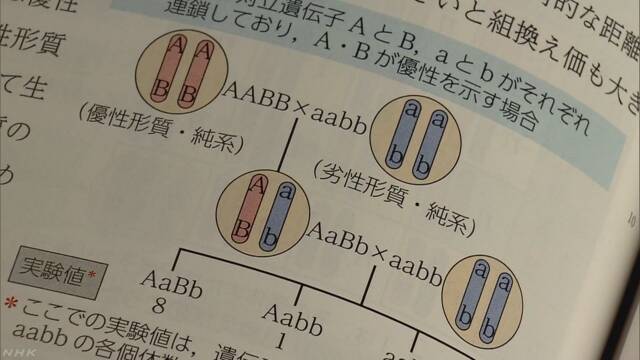 遺伝子「優性・劣性」“高校教科書では別表現を”日本学術会議