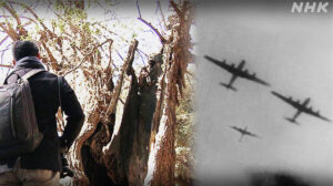 空襲の記憶を今に伝える「戦災樹木」