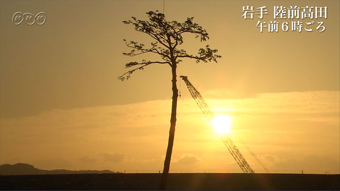 Nhk News Web 祈りの朝 奇跡の一本松 動画で見る震災から５年
