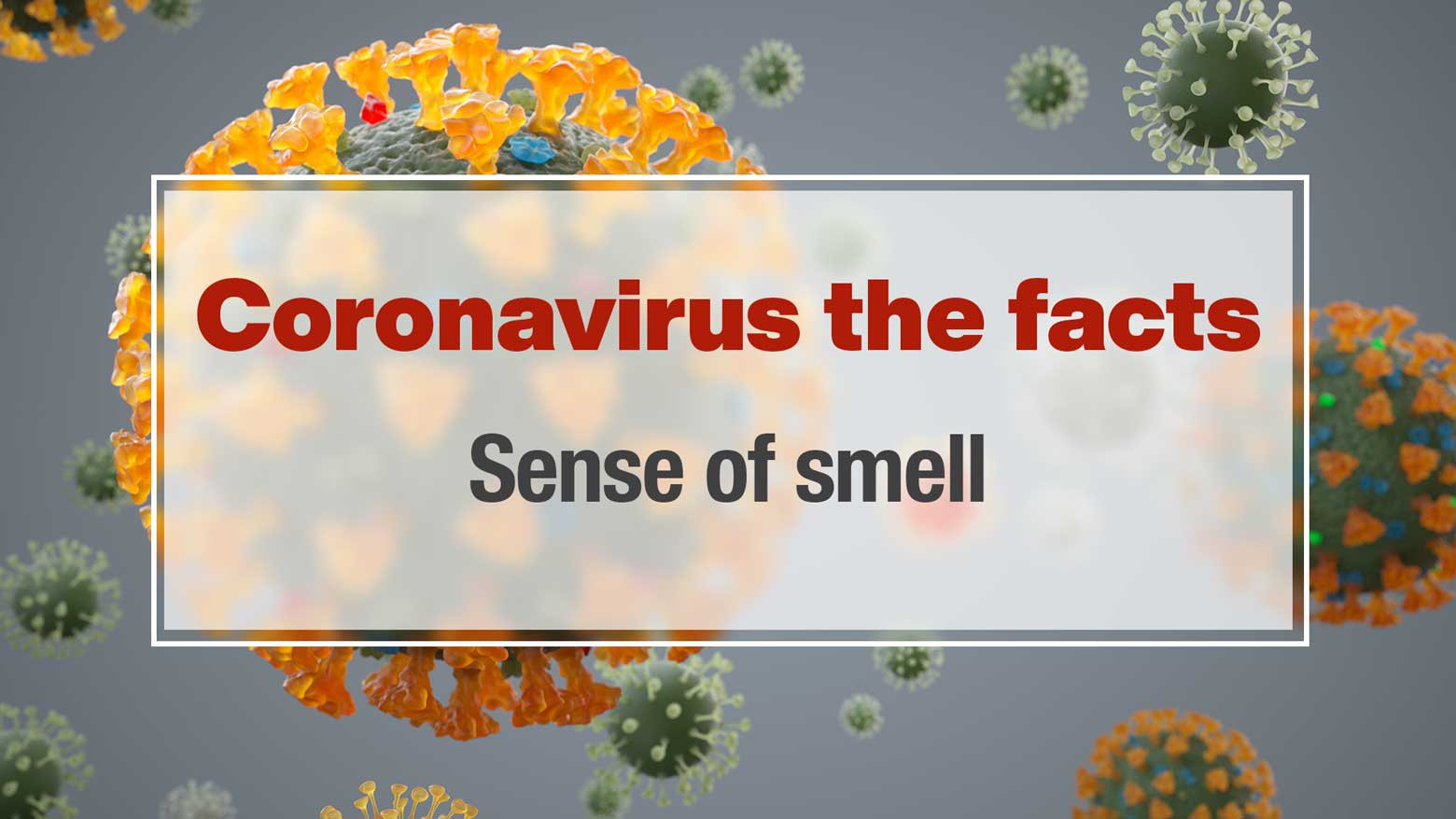Why does the coronavirus affect my sense of smell?