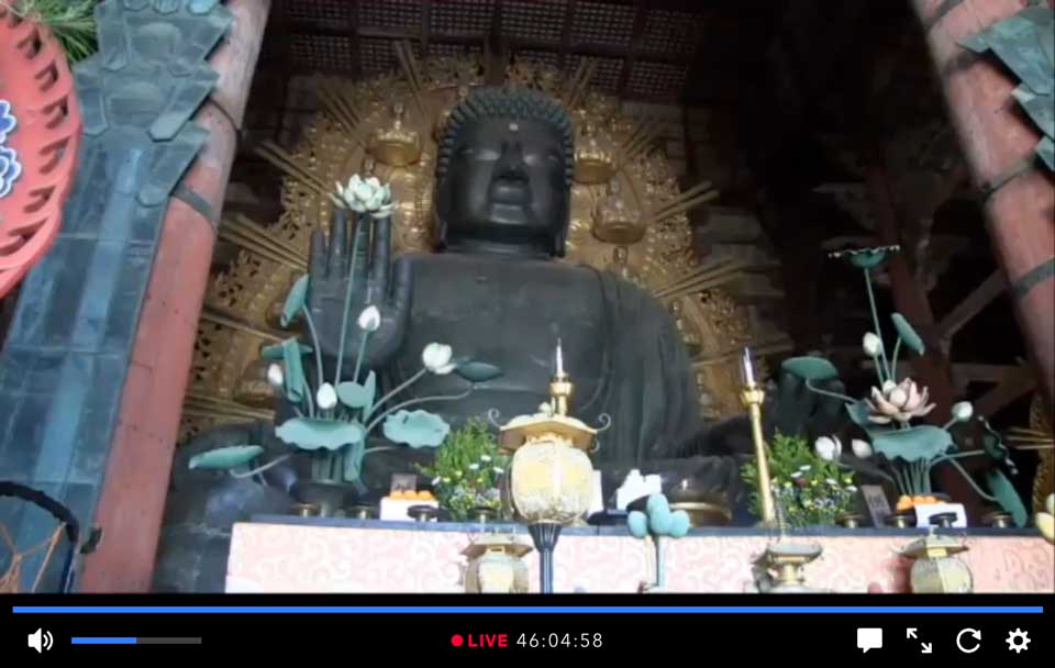 Screenshot of live-feed of Great Buddha