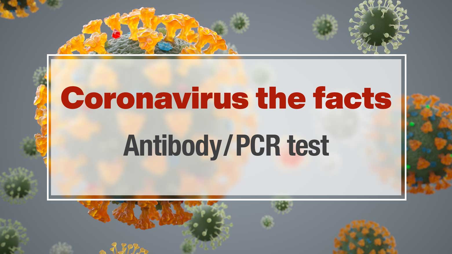 What is the relationship between PCR and antibody test results?