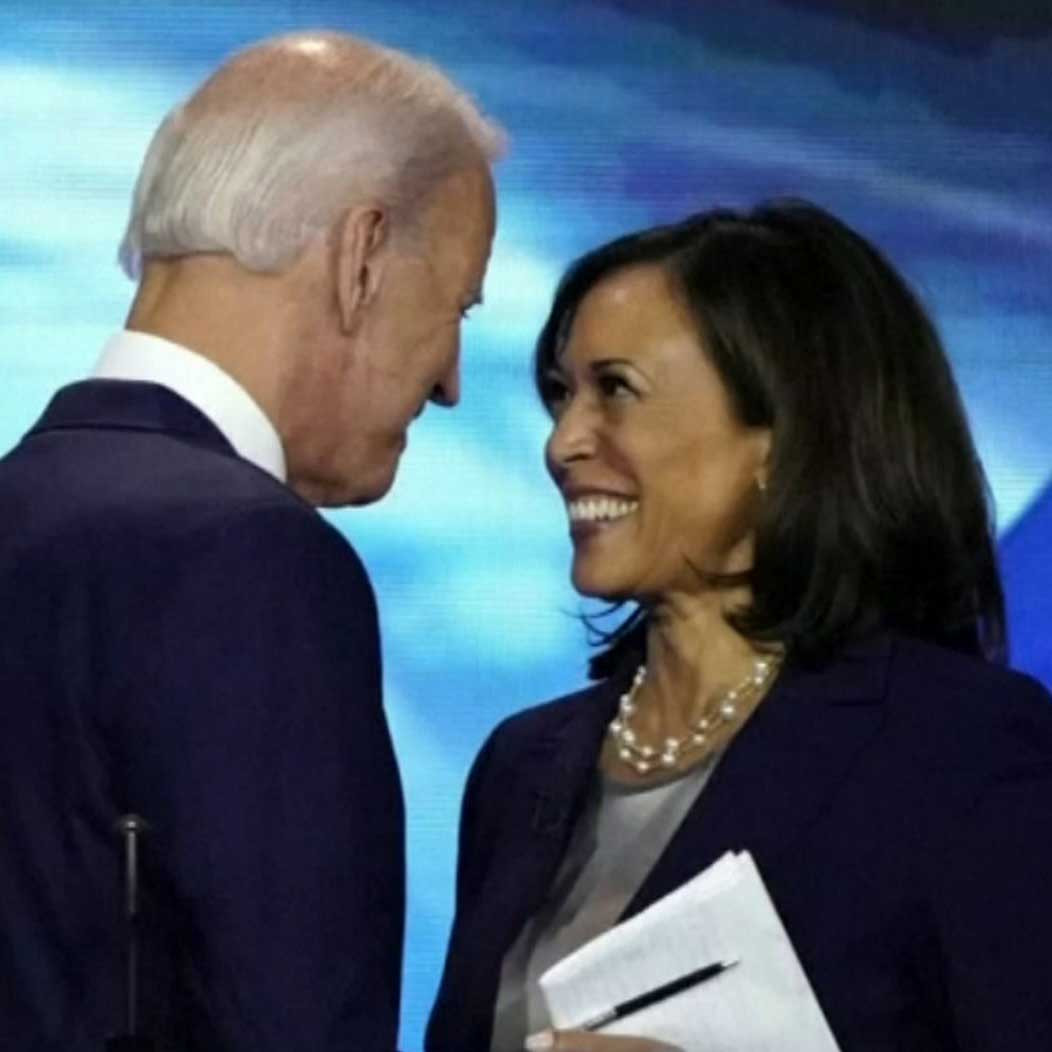 What Harris brings to the Biden campaign