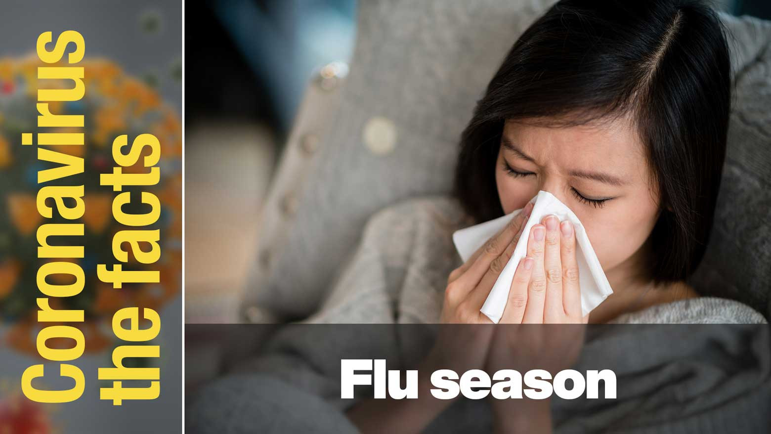 How will Japan tackle flu season amid the coronavirus pandemic?