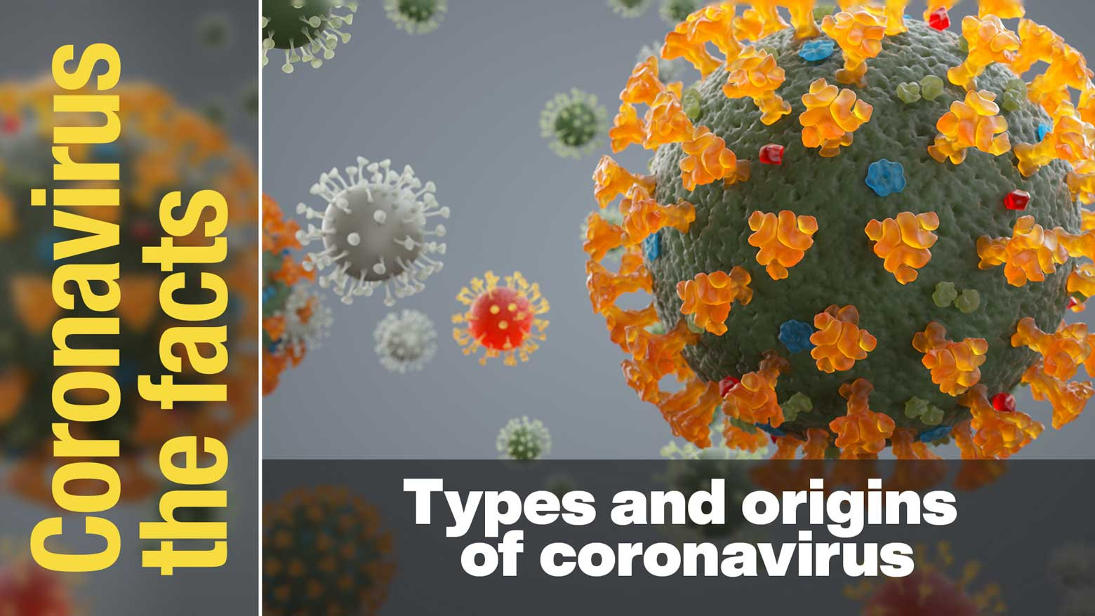 Types and origins of coronavirus