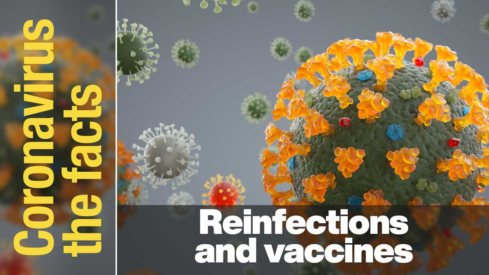 The relationship between reinfection and the effectiveness of vaccines
