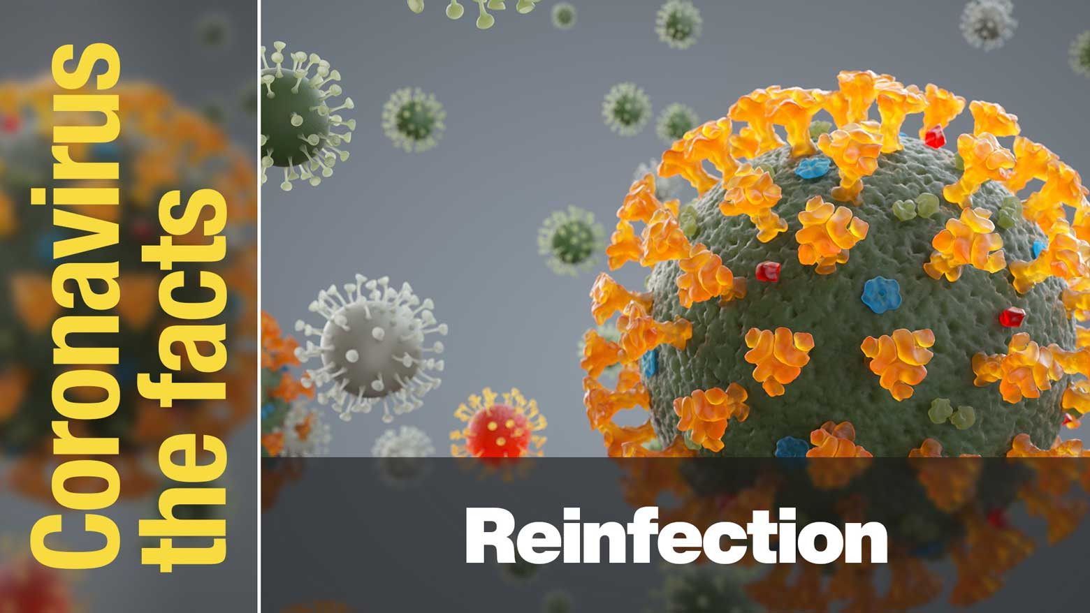 Can reinfection really happen?