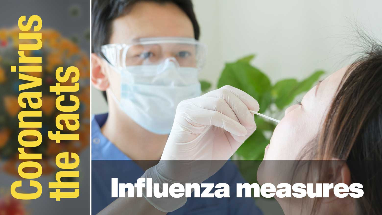 How will Japan deal with both the flu and coronavirus?