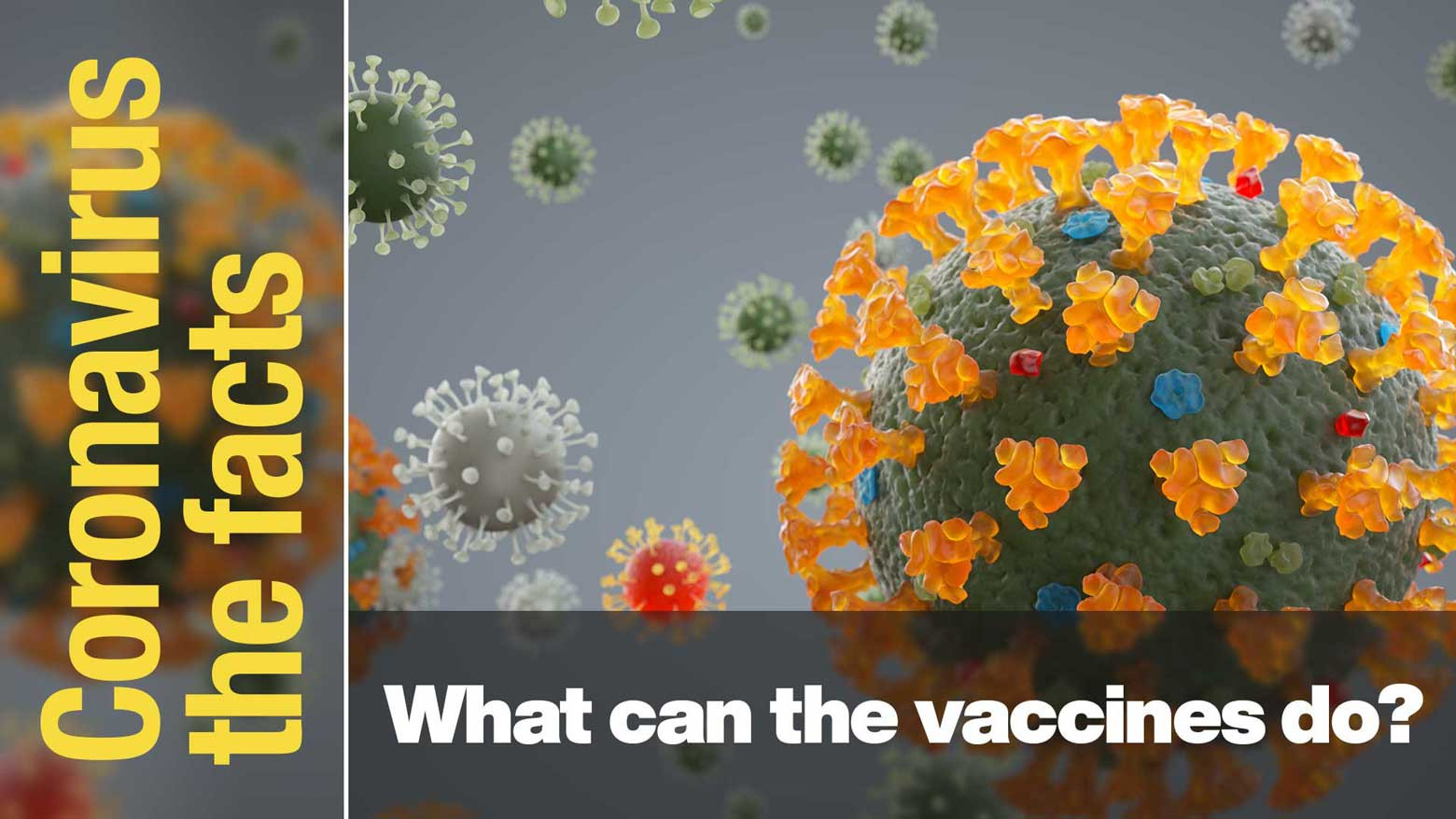 What are the coronavirus vaccines effective against?