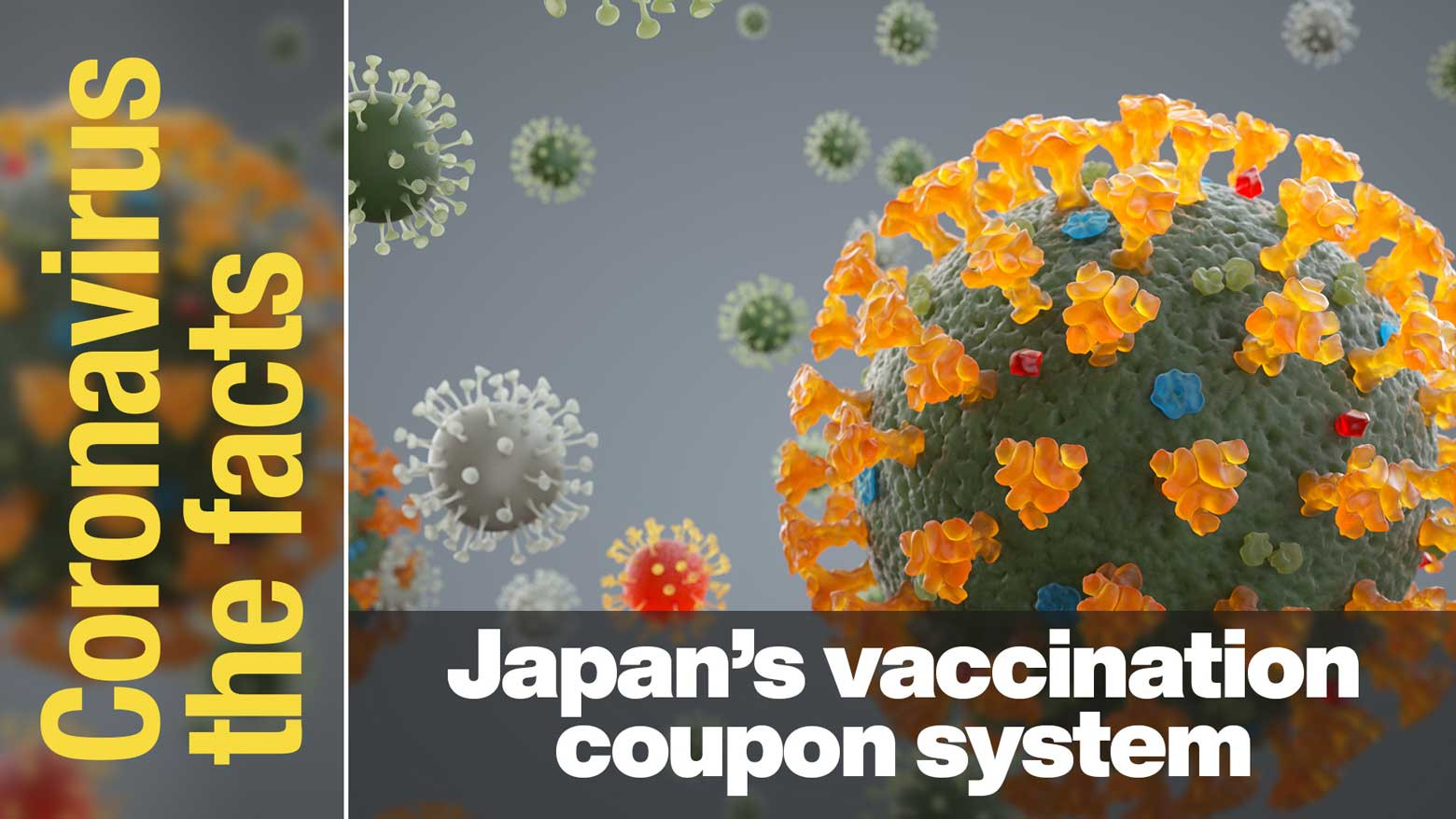 Coupons are required for coronavirus vaccination in Japan