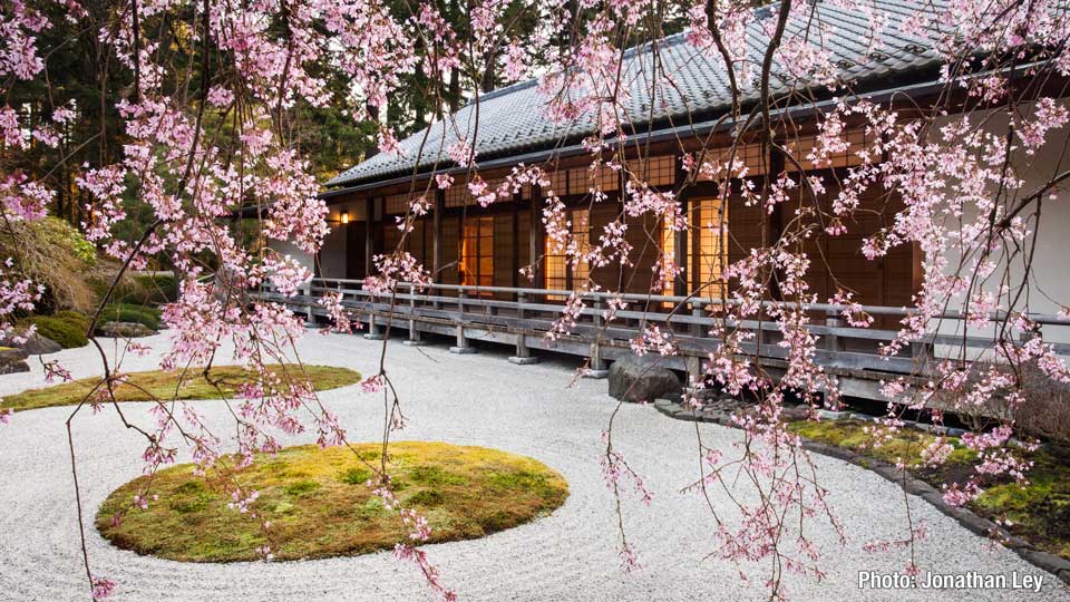 The Portland Japanese Garden