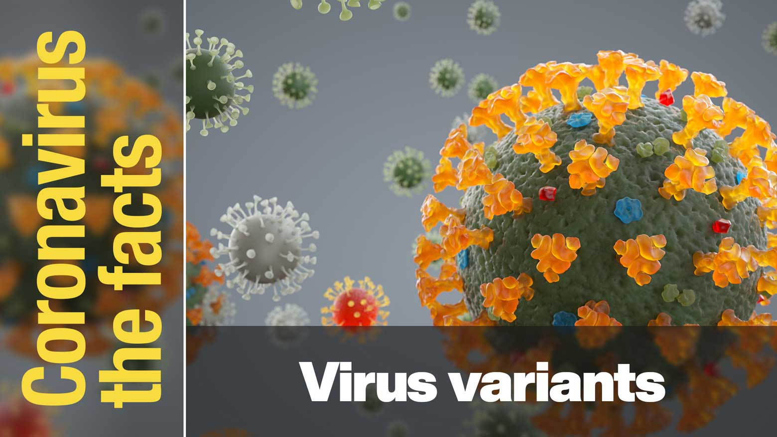 What are the characteristics of the coronavirus variants?