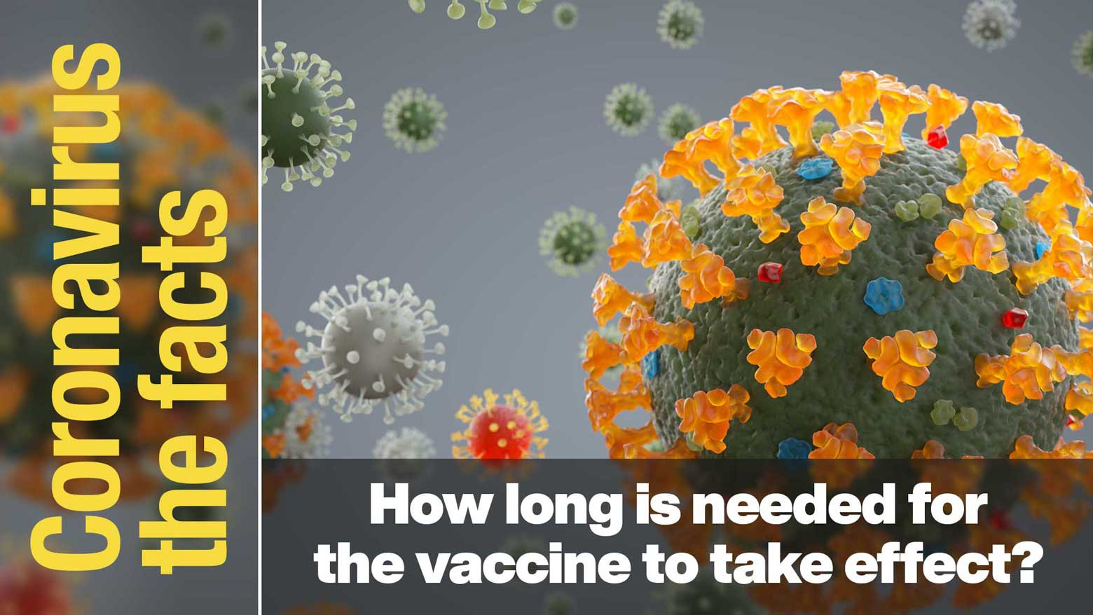 How long does it take for the vaccine to be effective?