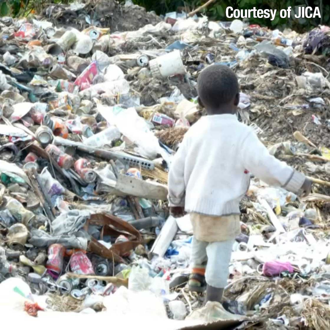 Kenya and Japan look to bug-based solutions to reduce waste