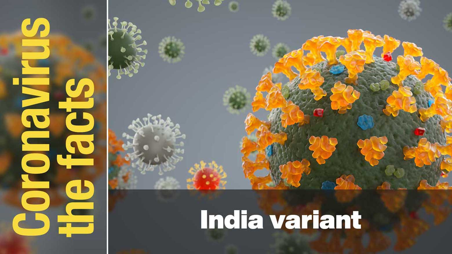 What are the characteristics of the variant detected in India?