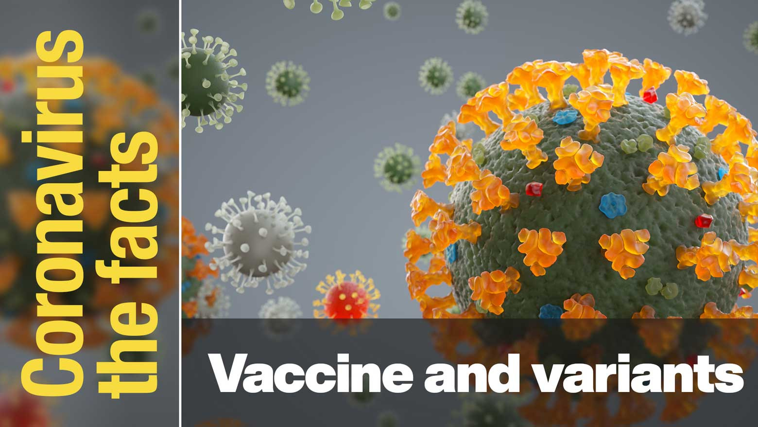 Are coronavirus vaccines effective against variants?