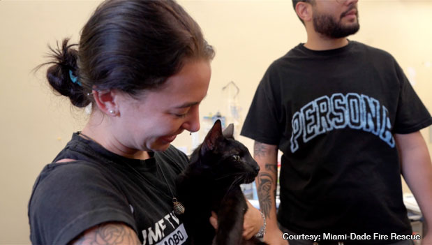 A cat that survived the collapse reunited with owners