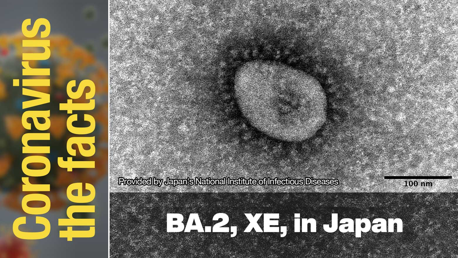 XE strain detected in Japan, BA.2 spreading quickly