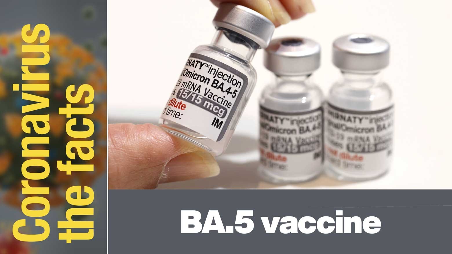 Omicron BA.5 vaccine in Japan