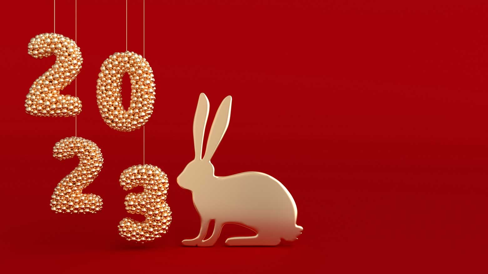 The Year of the RABBIT