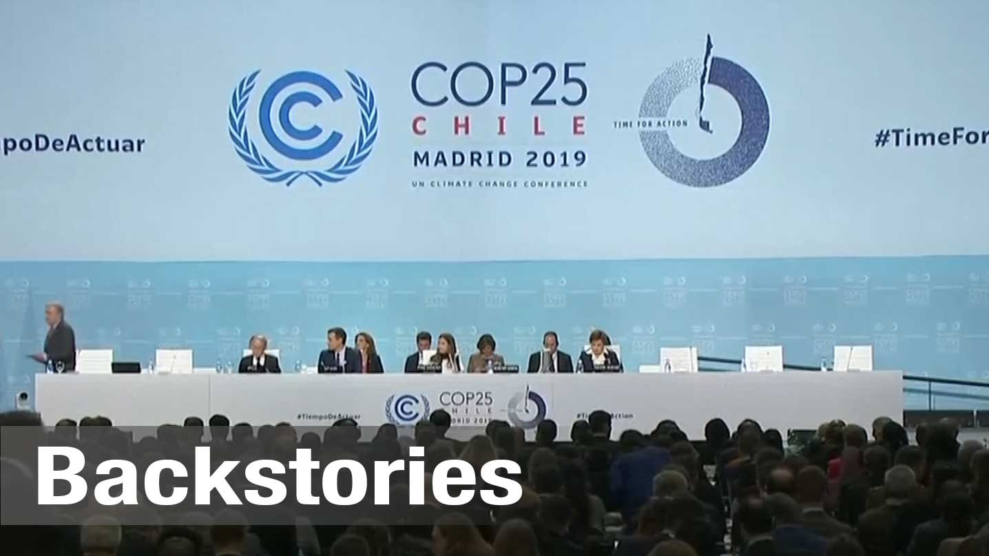 The climate crisis: Experts give their take
