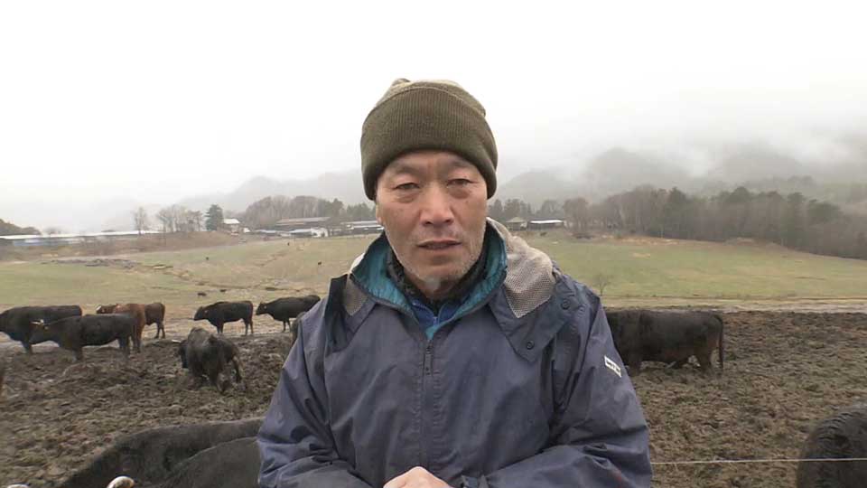 Masami Yoshizawa, a cattle farmer