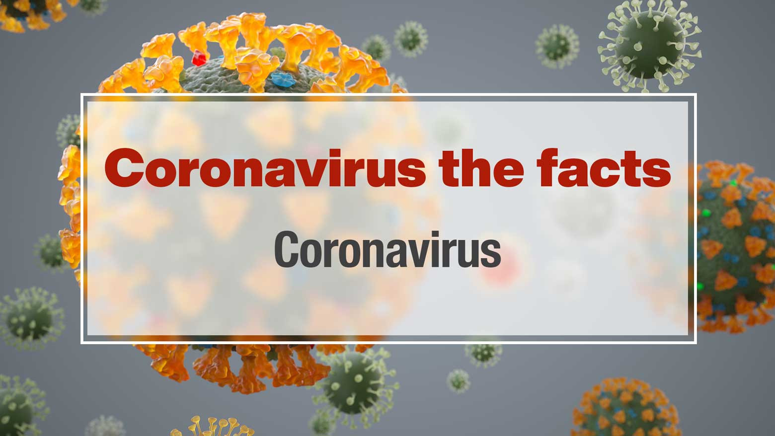 What is the new coronavirus?