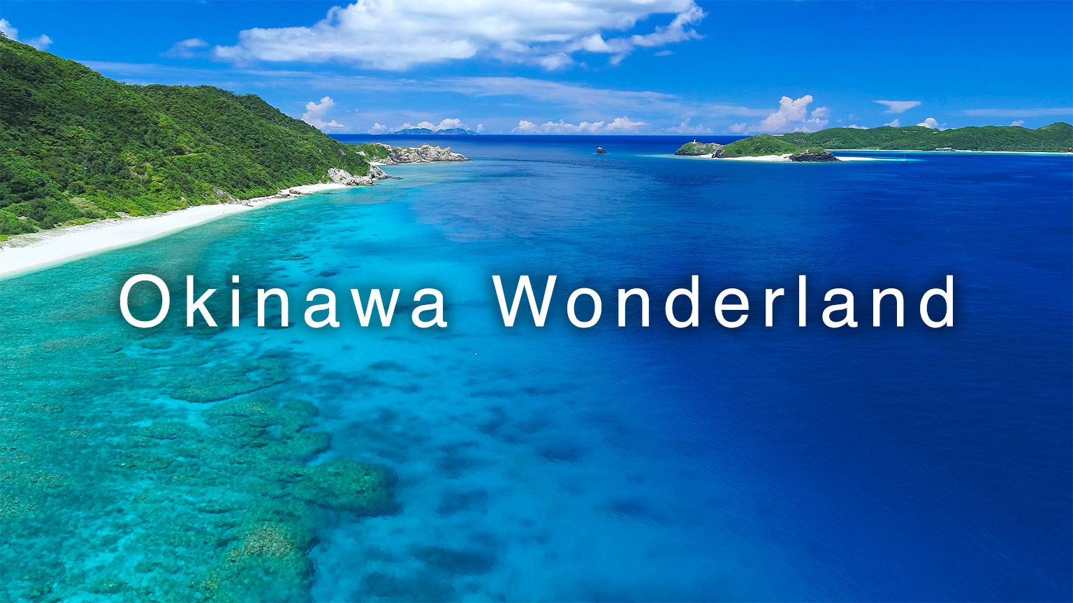 Okinawa Wonderland