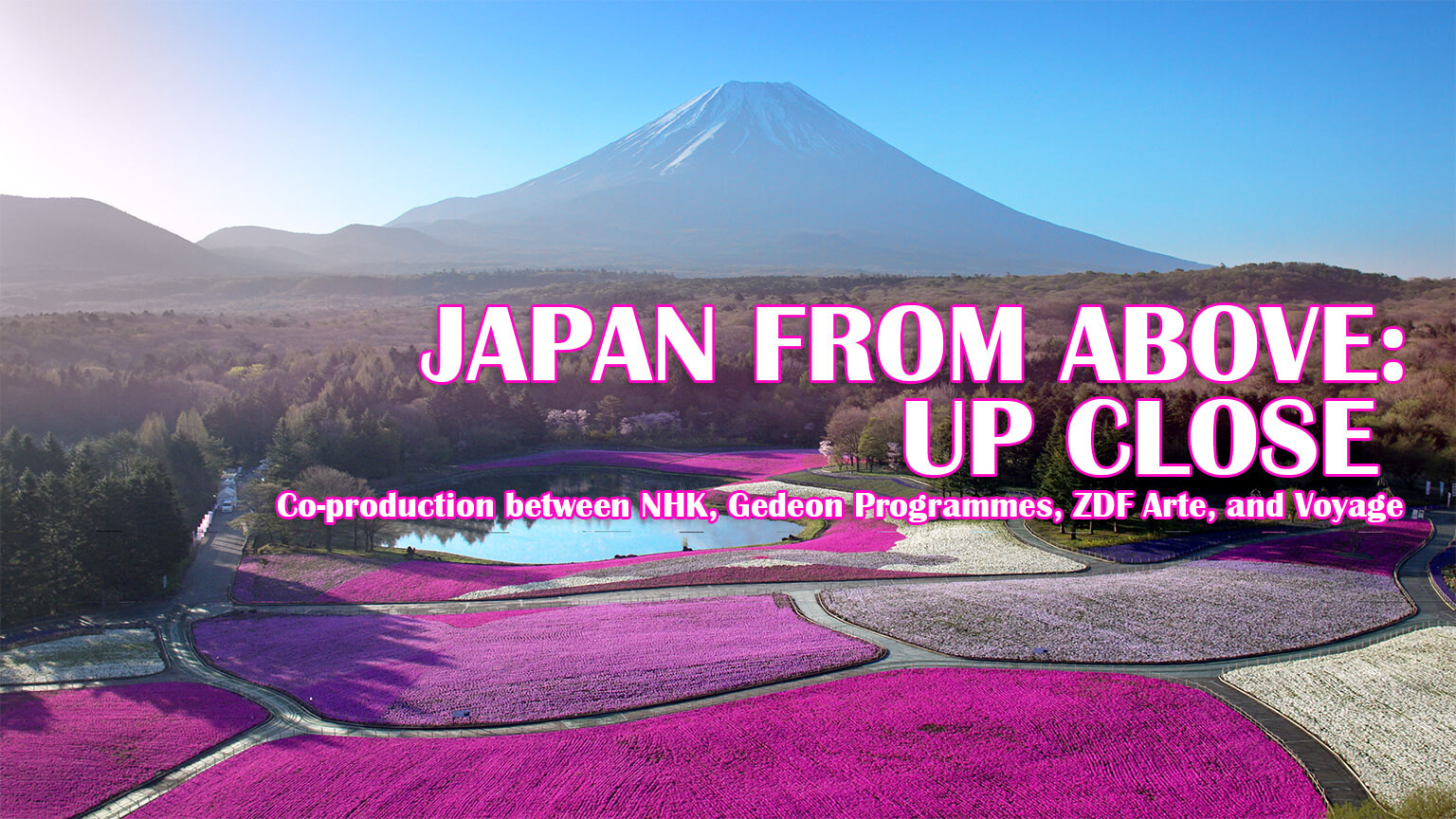 JAPAN FROM ABOVE: UP CLOSE / Co-production between NHK, Gedeon Programmes, ZDF Arte, and Voyage