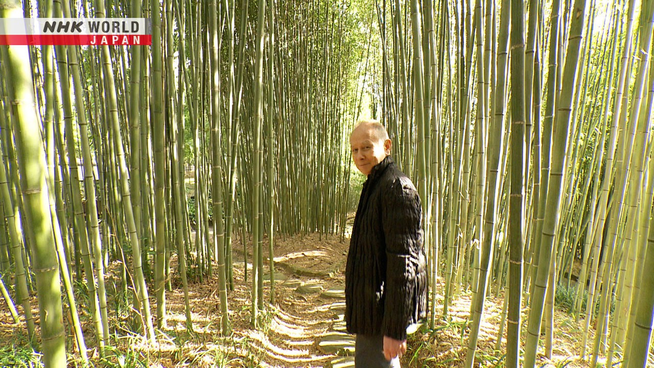 Bamboo Japanology Plus Nhk World Japan On Demand