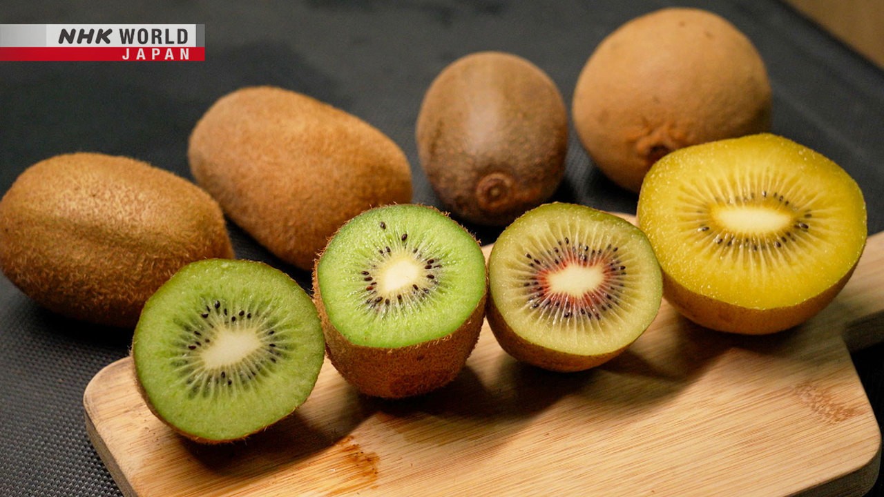 Golden Kiwifruit VS Green Kiwifruit, who is the King of Nutrition? - Give  Gift Boutique Flower Shop