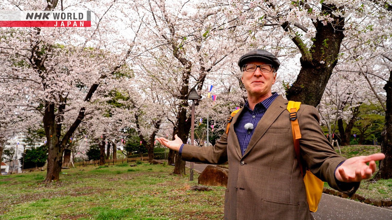 Oji - Charmed by Foxes and Cherry Blossoms - Dive in Tokyo