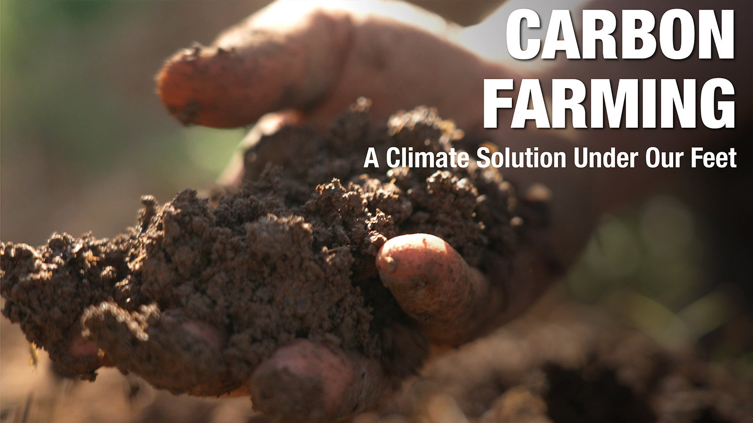 Carbon Farming A Climate Solution Under Our Feet