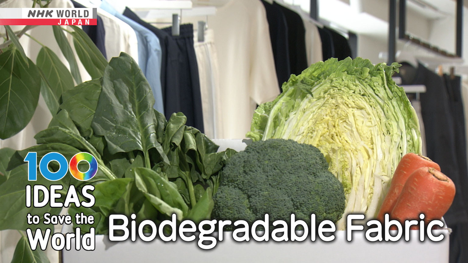 Biodegradable Fabric Biz Stream Nhk World Japan On Demand