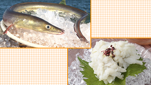 One of the island’s specialties is hamo, or daggertooth pike conger, a species of eel. Contrary to its frightening appearance, it’s a fish with a refined flavor and texture. When blanched, the sliced hamo curls up and looks like a pure white flower. 