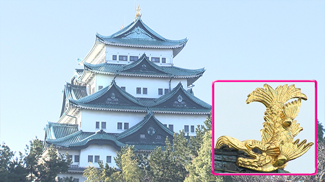 Today, from the largest city in Aichi Prefecture, Nagoya. Nagoya Castle is a local landmark.  Two golden mythical creatures adorn its roof. 