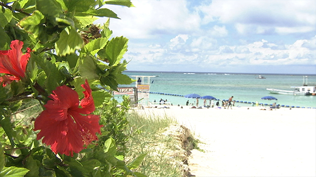 Today, from the southern islands of Okinawa, one of Japan’s most popular resort destinations.