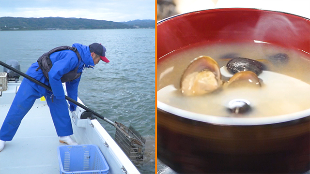 The lake is also home to Japan’s largest habitat of shijmi freshwater clams. Shijimi are only 2 cm in diameter, but they’re highly nutritious and rich in umami. Shijimi miso soup has long been a favorite in Japan.