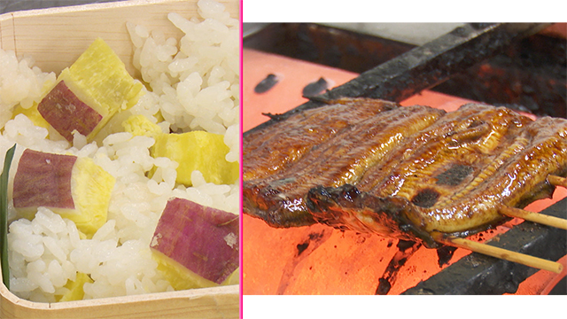 The cubed beni-aka is then layered into the rice. When it's time to eat, it's almost like digging up potatoes from the ground! Unagi or broiled eel glazed with a sweet, soy-based sauce, is placed over the rice. Rich in protein, unagi was a popular pick-me-up for the merchants of old.
