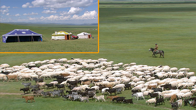 Today, from Mongolia, where many of the people live a nomadic lifestyle.<br>Livestock farming has been a way of life here since ancient times, providing people with a means to survive the harsh natural environment. They rely heavily on sheep.