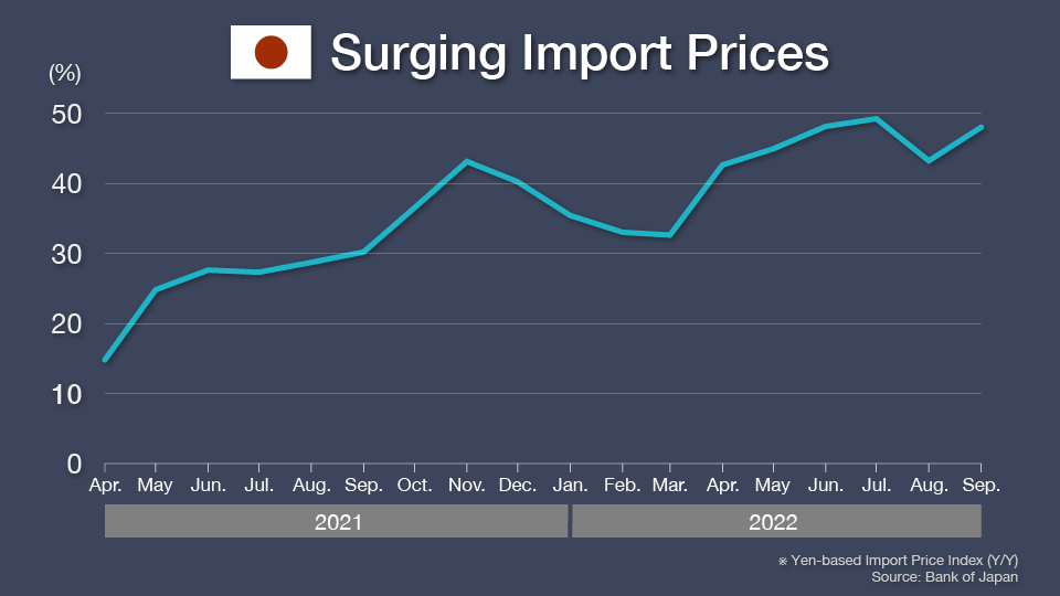 Chart: Surging Import Prices