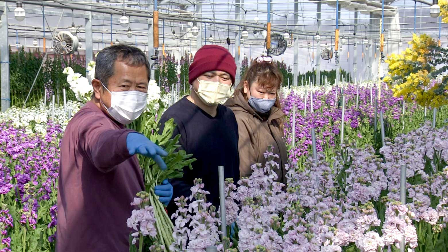 Новый бизнес расцветает в пострадавшей от бедствия префектуре Фукусима