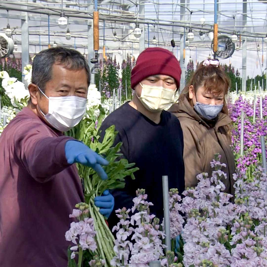 Новый бизнес расцветает в пострадавшей от бедствия префектуре Фукусима