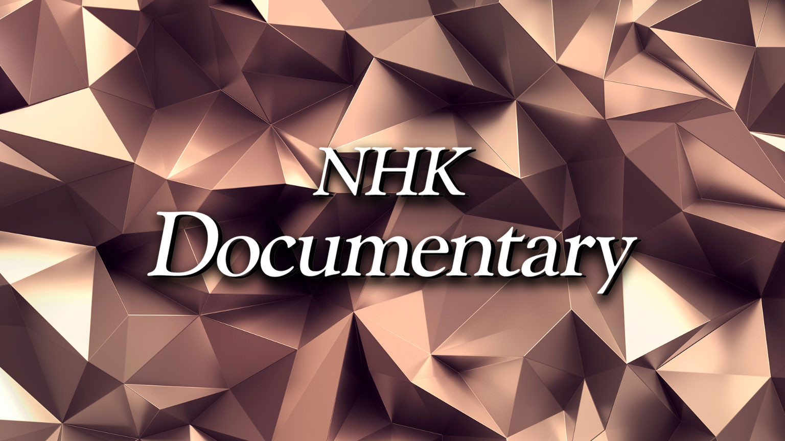 Документалистика NHK
NHK Documentary