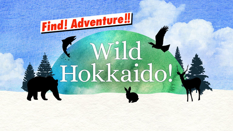 Wild Hokkaido!