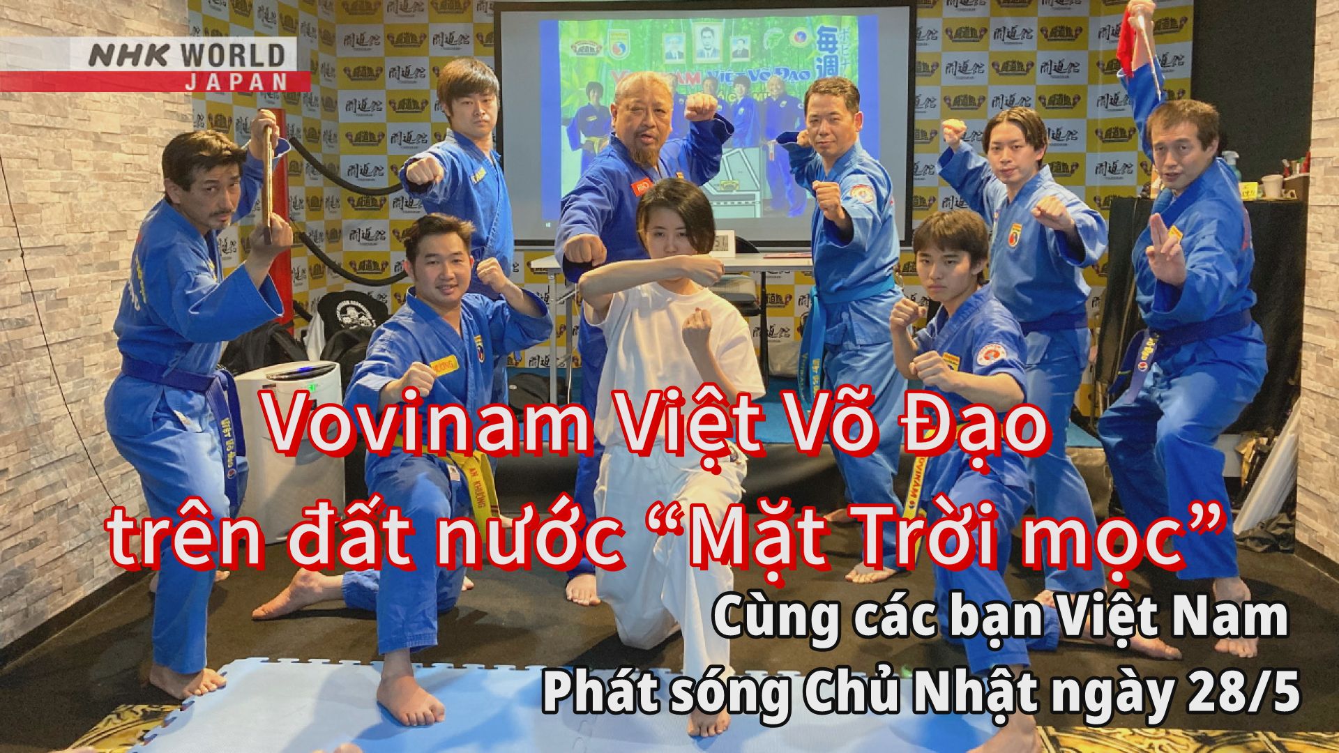 Ông Mai Hữu Tín  Chủ tịch Liên đoàn Vovinam Việt Nam